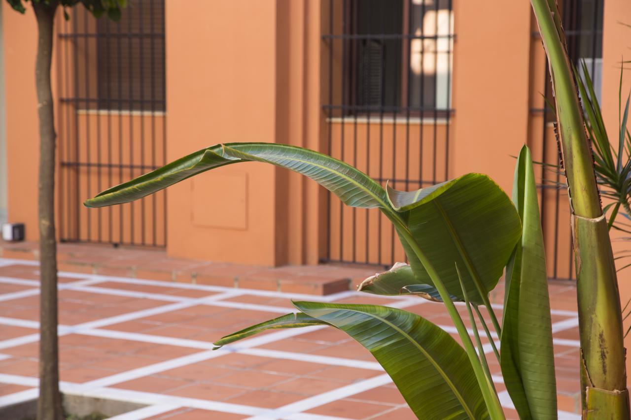 Apartmán Alohamundi Quevedo Sevilla Exteriér fotografie